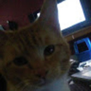 Meet your Posher, Sheri